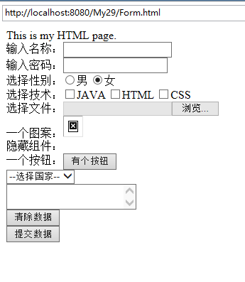 HTML表单组件