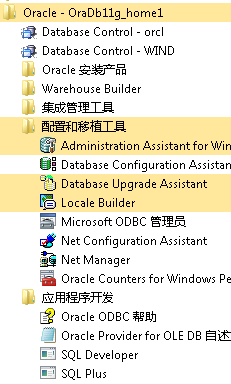 记录在Windows上安装和使用Oracle数据库过程中的坑