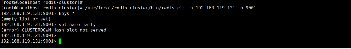 redis-server_start_test