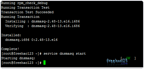 Dnsmasq安装与配置-搭建本地DNS服务器更干