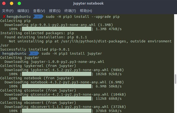 Pip install jupiter notebook