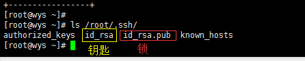 Linux基础-配置网络、集群内主机名设定、ssh登入、bash命令、通配符（元字符）第22张