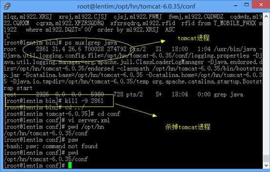 (转)Linux下部署tomcat及tomcat war包应用程序第4张