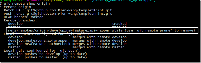 git-remote-prune-origin