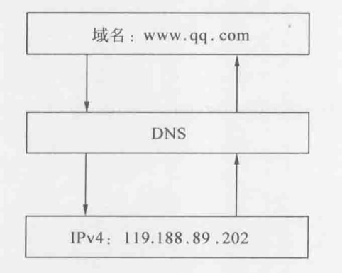 Wireshark——网络协议第19张