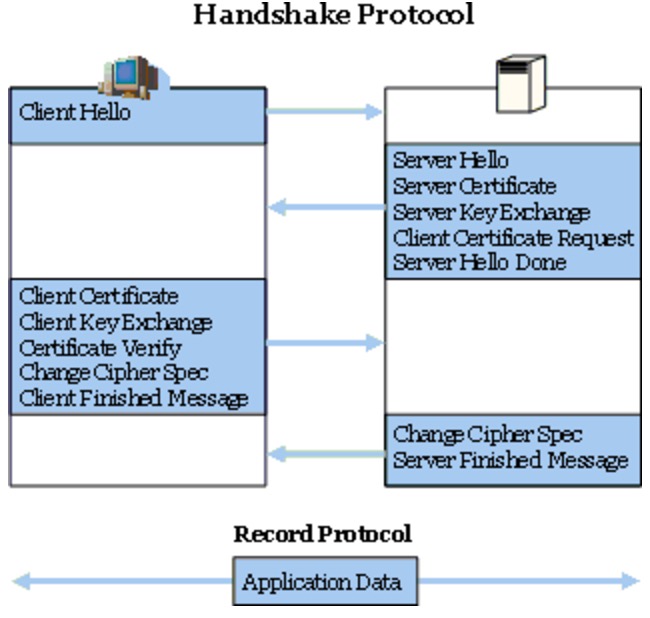 Wireshark——网络协议第31张