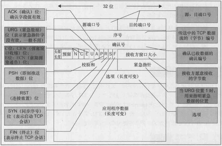 Wireshark抓包详解数据包、着色规则和提示第9张