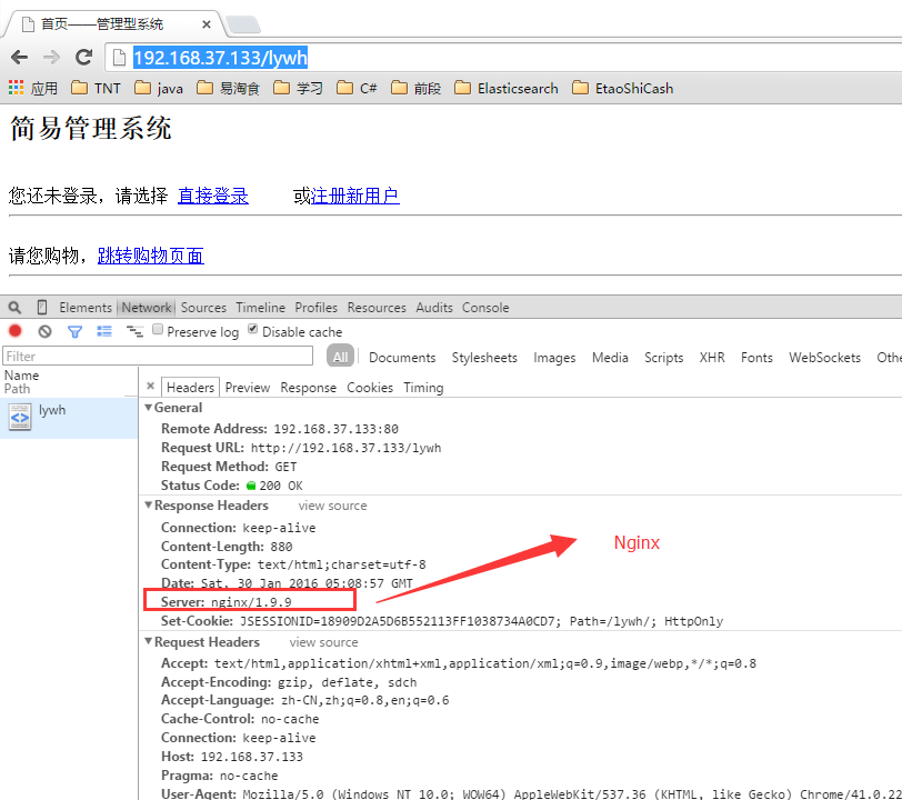 Nginx主配置参数详解，Nginx配置网站