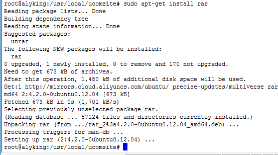Linux解决安装包无法找到问题Unable to locate package rar第3张