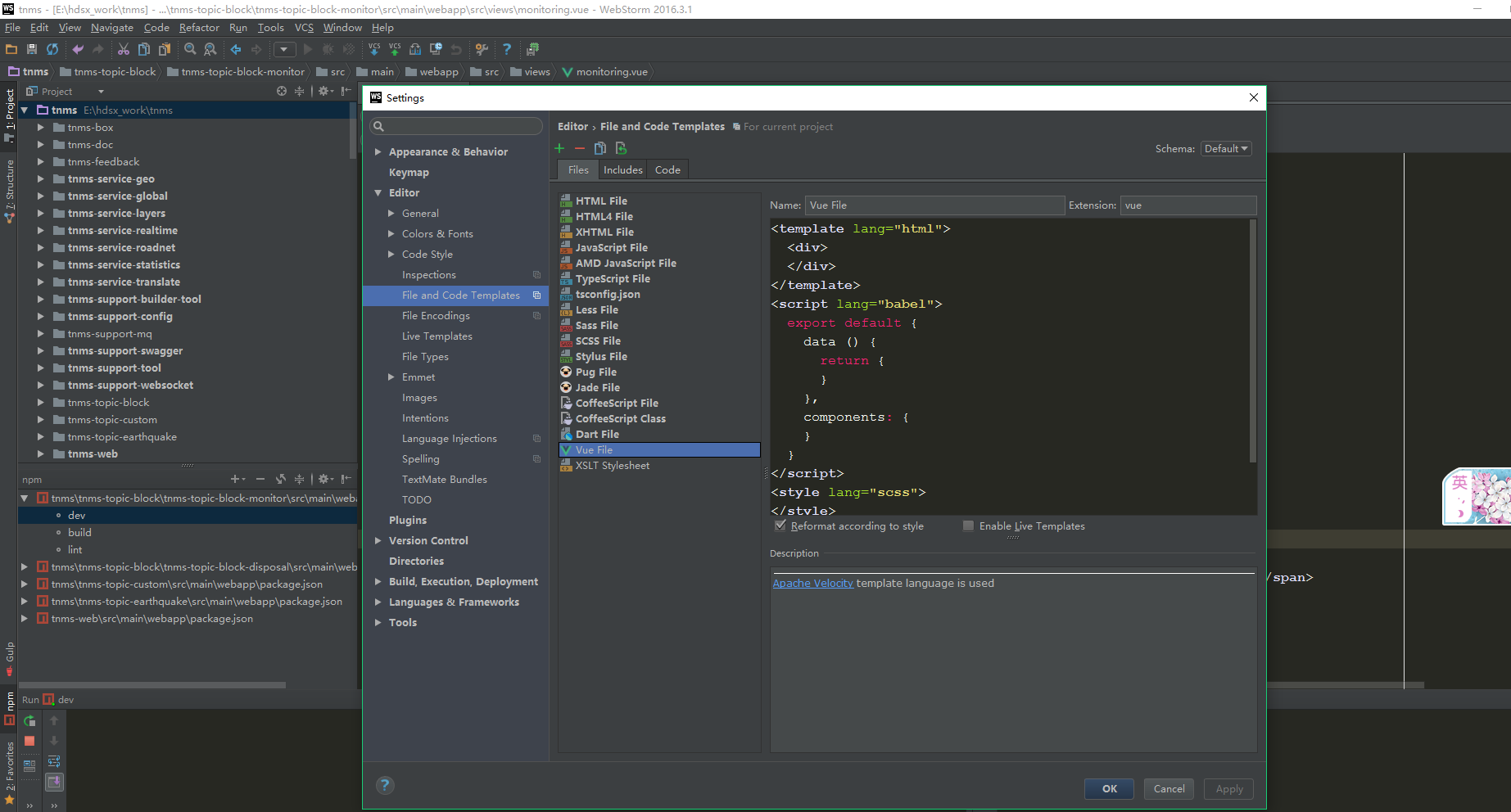 Плагины для WEBSTORM. Скины на WEBSTORM. WEBSTORM путь к конфигурации. WEBSTORM code Editor. Vue plugins