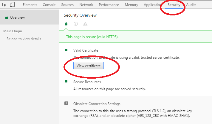 Chrome浏览器查看SSL证书信息第1张
