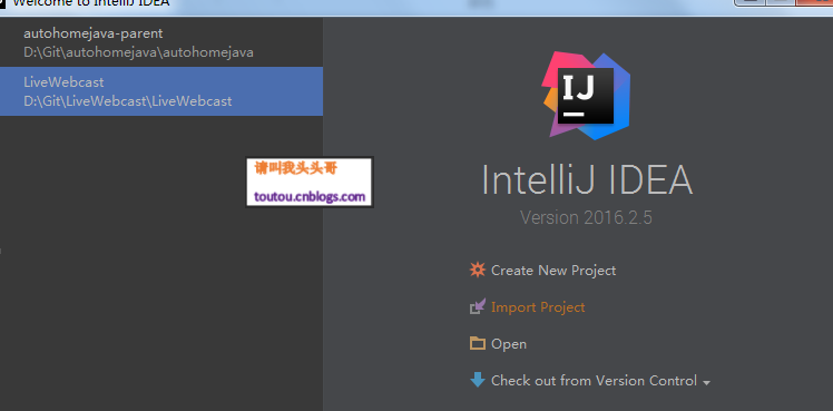 IntelliJ IDEA 导入新项目