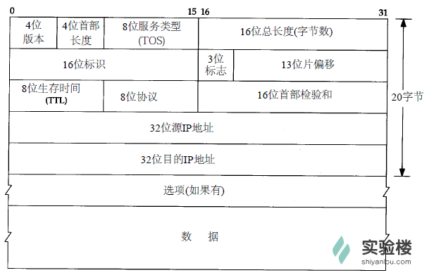 ip包的内容结构