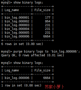 binary log