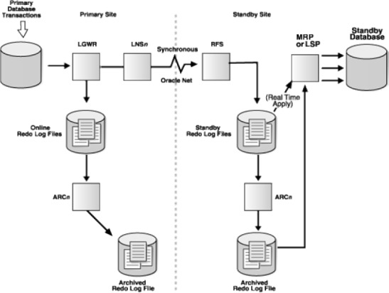 wps232C.tmp