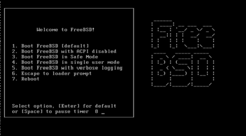 FreeBSD 8.0安装