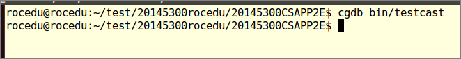 cgdbtestcast