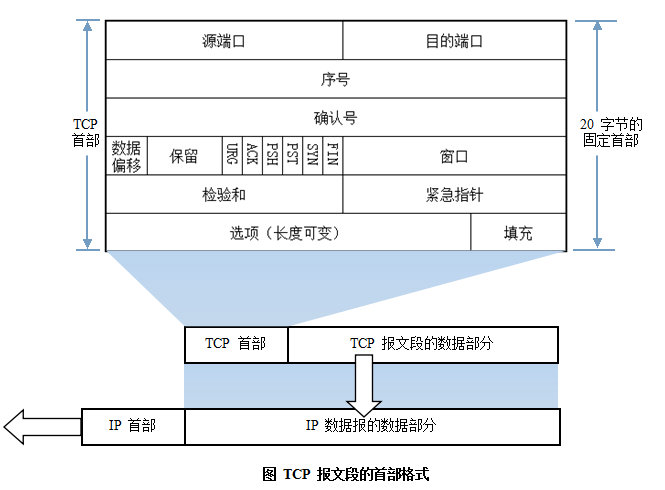 袁蔚