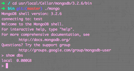 nodeJs express mongodb 建站（mac 版）