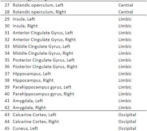 central, limbic, occipital