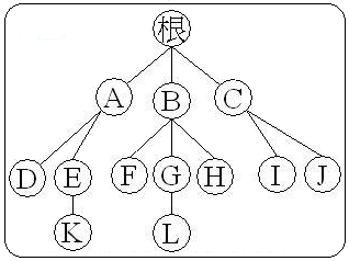 树形结构的概念_护理理论四个基本概念