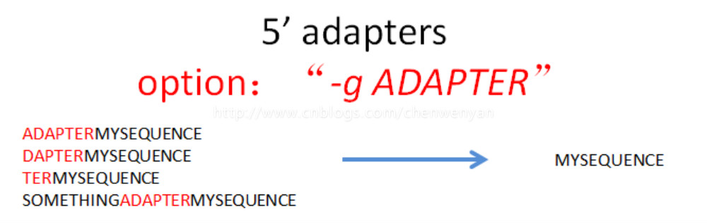 外显子分析：cutadapt，去除序列adapter详细解析第4张