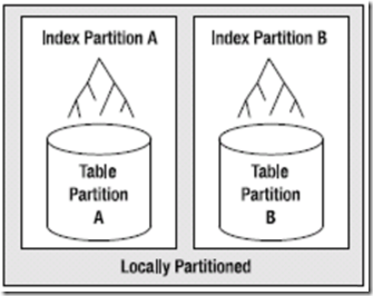 local_partitioned_index