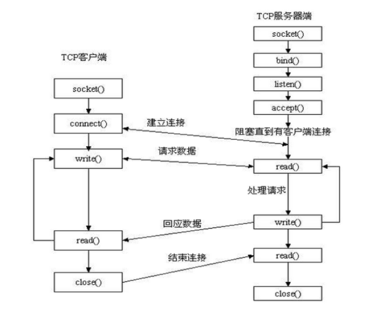 python之路 socket、socket server